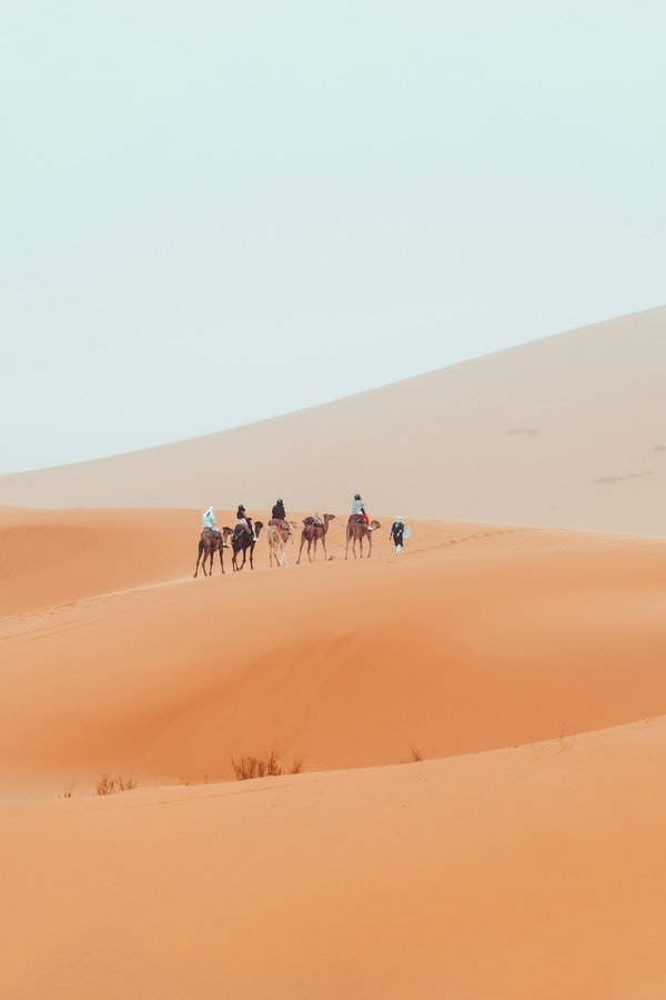 Comment organiser une expédition de trek autour de l'Annapurna, Népal : équipements et conseils pratiques ?